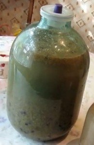 изюмное вино под водяным затвором