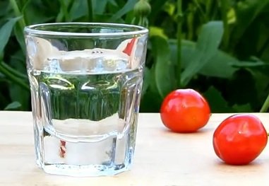 naturalnyj-samogon-iz-chereshni рецепт черешневого самогона без дрожжей