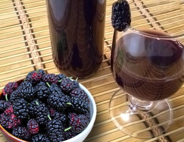 фото самодельного вина из шелковицы