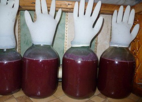 вино из ревеня под перчаткой