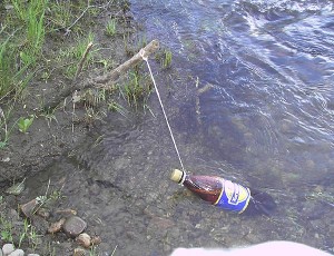 пиво в реке