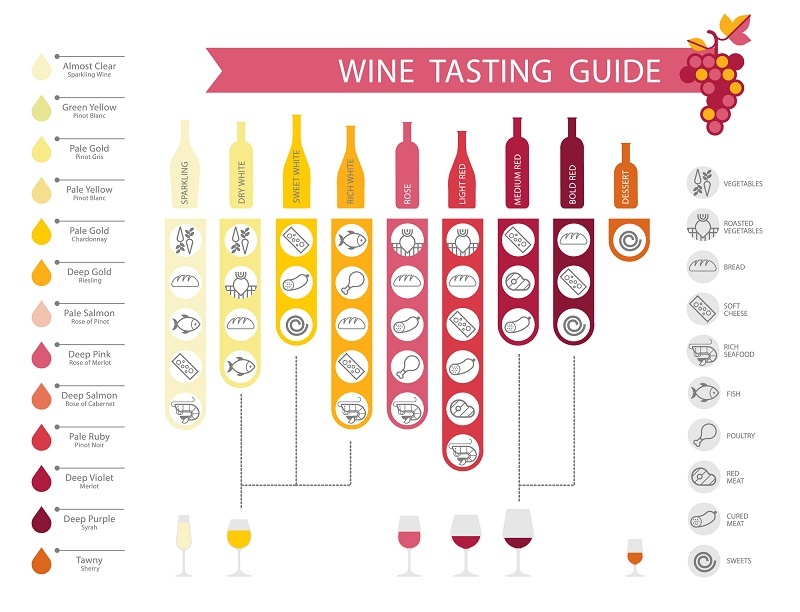 инфографика как вина сочетаются с едой