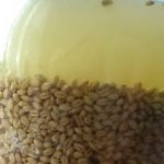 фото пшеничной браги без дрожжей
