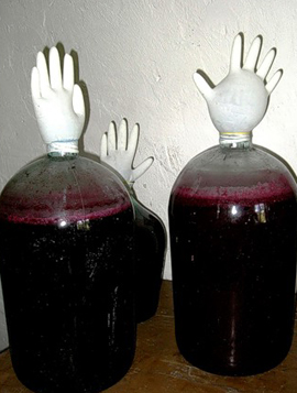 брожение виноградного вина