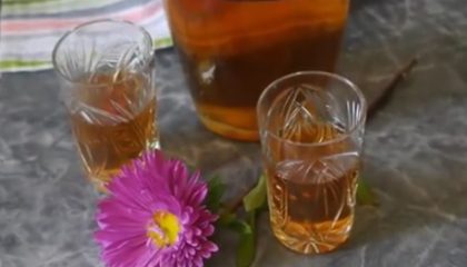 фото самодельной сливовой настойки