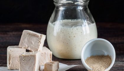 фото спиртовых дрожжей