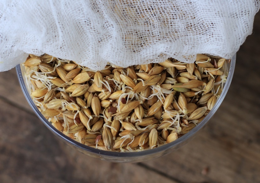 Pецепт зерновой браги для самогона