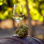 Шардоне (Chardonnay) — вино трех времен года