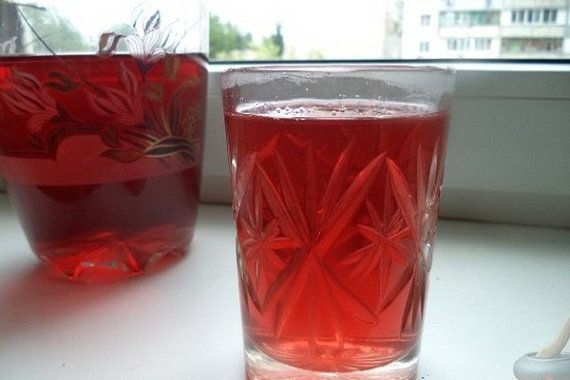 Как сделать вино из ревеня Как сделать вино из ревеня