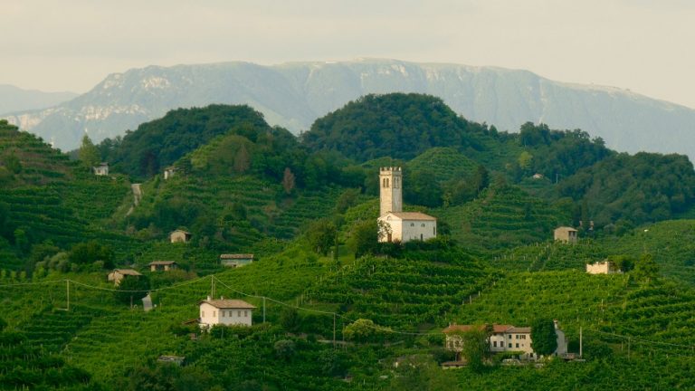Вина Просекко (Prosecco): особенности, виды, как пить