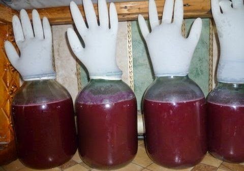 фото брожения браги из ежевики