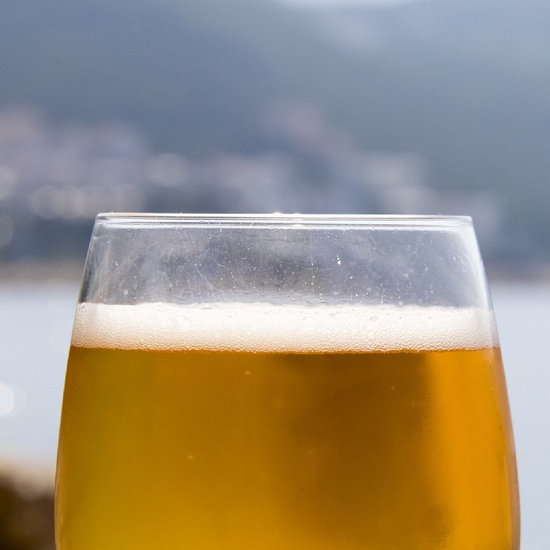 Траппистский обычный эль (Trappist Single Ale) – описание