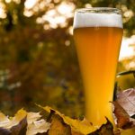 Autumn Seasonal Beer