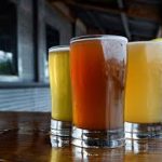 Specialty Fruit Beer