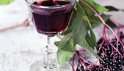 фото настойки из ягод черной бузины