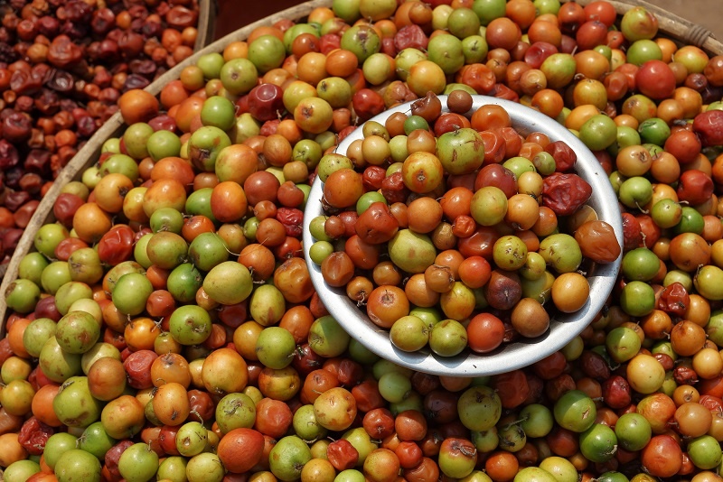 фото плодов марулы