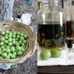 как сделать настойку молодого грецкого ореха на водке