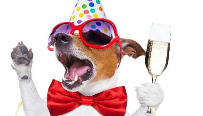 как не спиться в Новый год