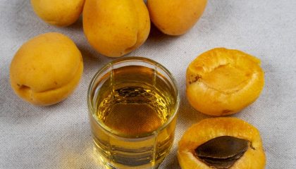 домашний абрикосовый бренди