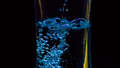 какую водку выбрать
