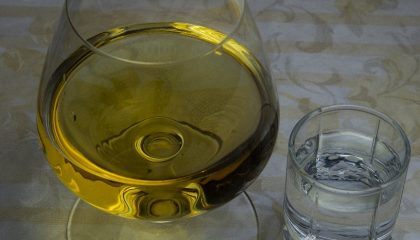 коньяк или водка: что лучше пить