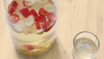 настойка Солоухина на водке