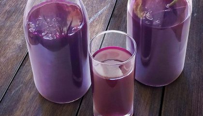 домашний квас из свеклы фото