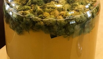 что значит сухое охмеление пива